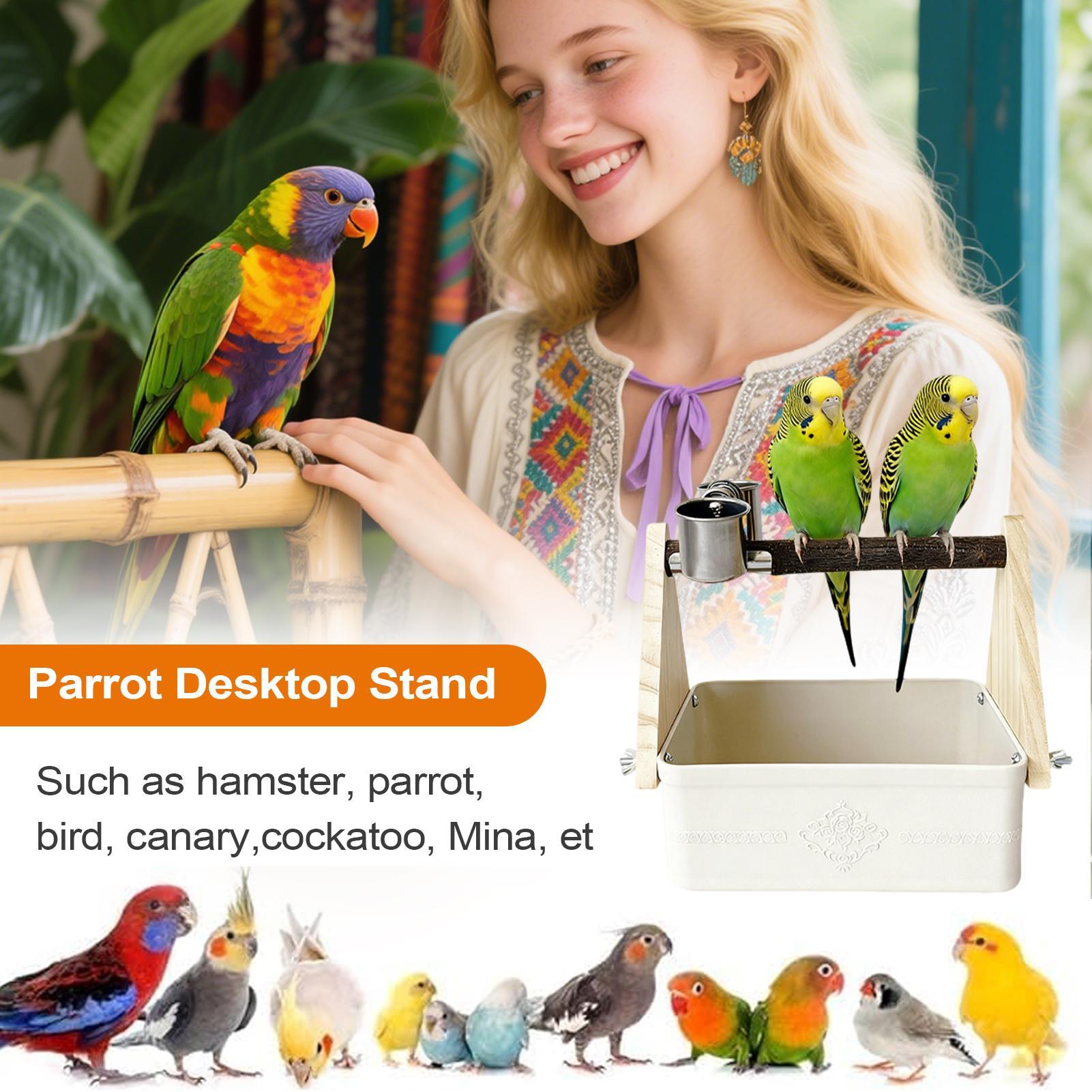 Pet Supplies Zoo - Bird Tabletop Perch Lovebirds Training Supplies
