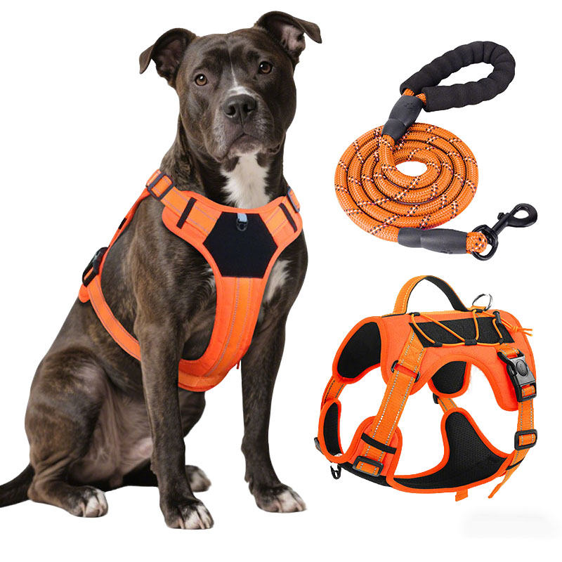 Dog Harness and Leash Set for  – No Pull Dog Harness recenzja i cena
