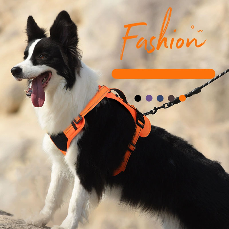 Dog Harness and Leash Set for  – No Pull Dog Harness recenzja i cena