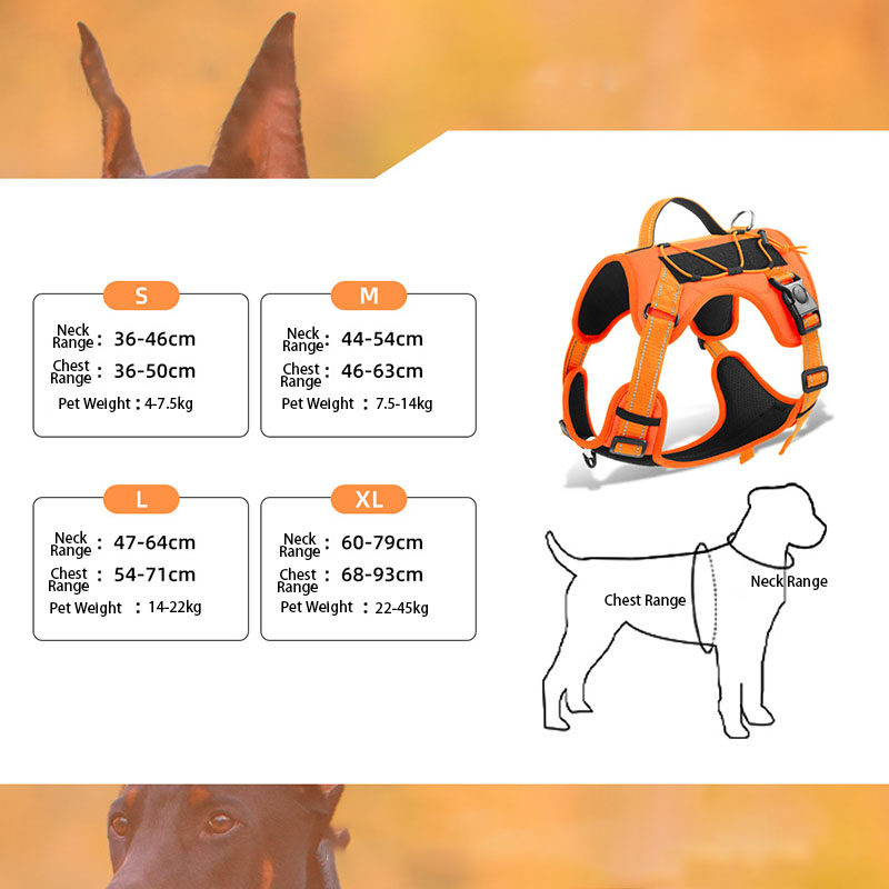 Dog Harness and Leash Set for  – No Pull Dog Harness recenzja i cena