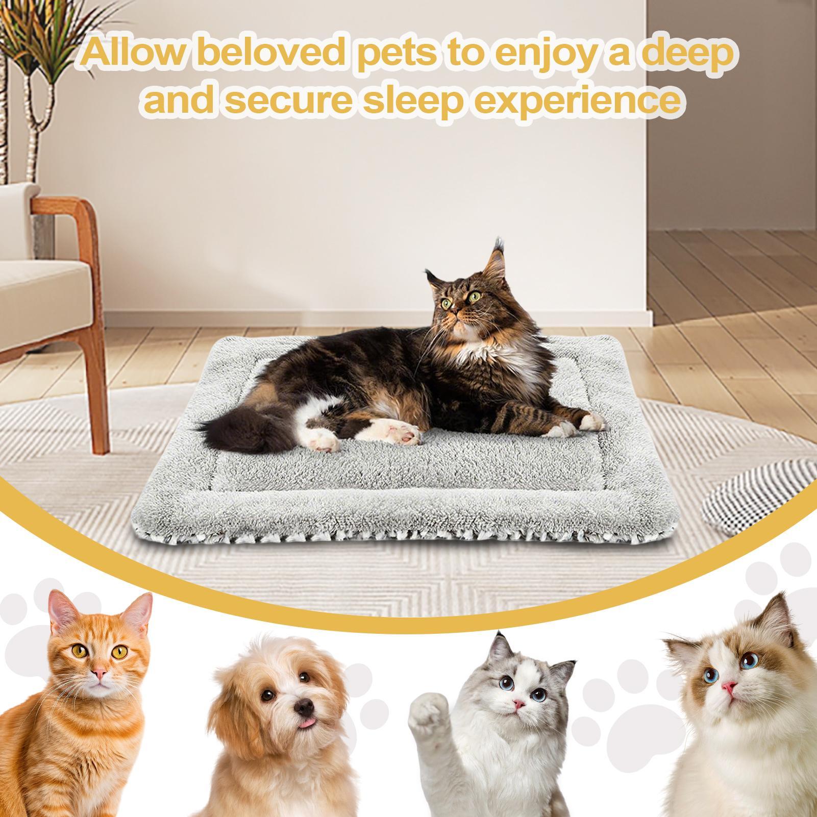 Self Warming Cat Mat Self Heat – Pet Supplies Self Wash recenzja i cena
