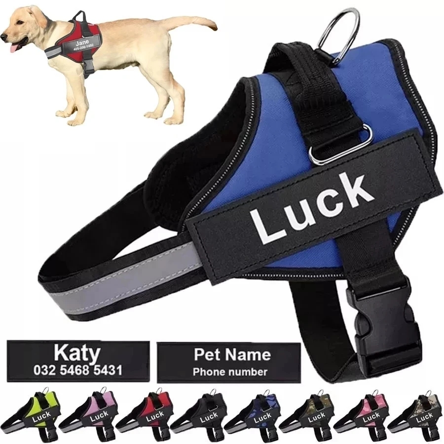 Dropshipping Dog Harness Vest  – No Pull Dog Harness recenzja i cena