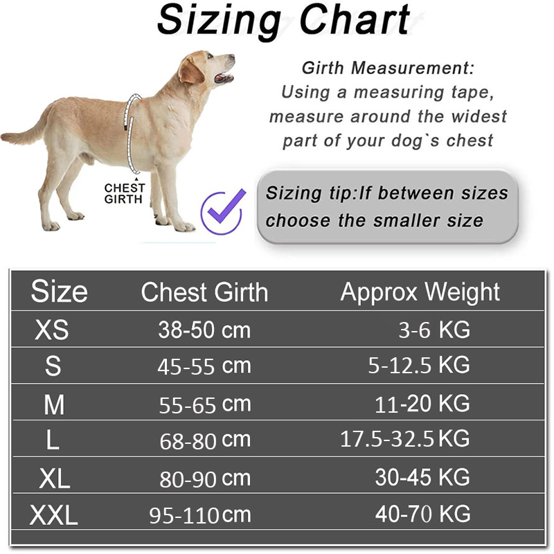 Dropshipping Dog Harness Vest  – No Pull Dog Harness recenzja i cena