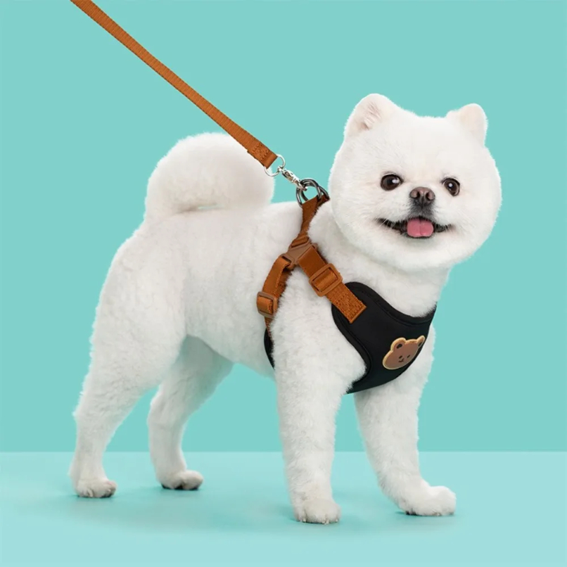 Creative Cute Pet Harness Leas – No Pull Dog Harness recenzja i cena