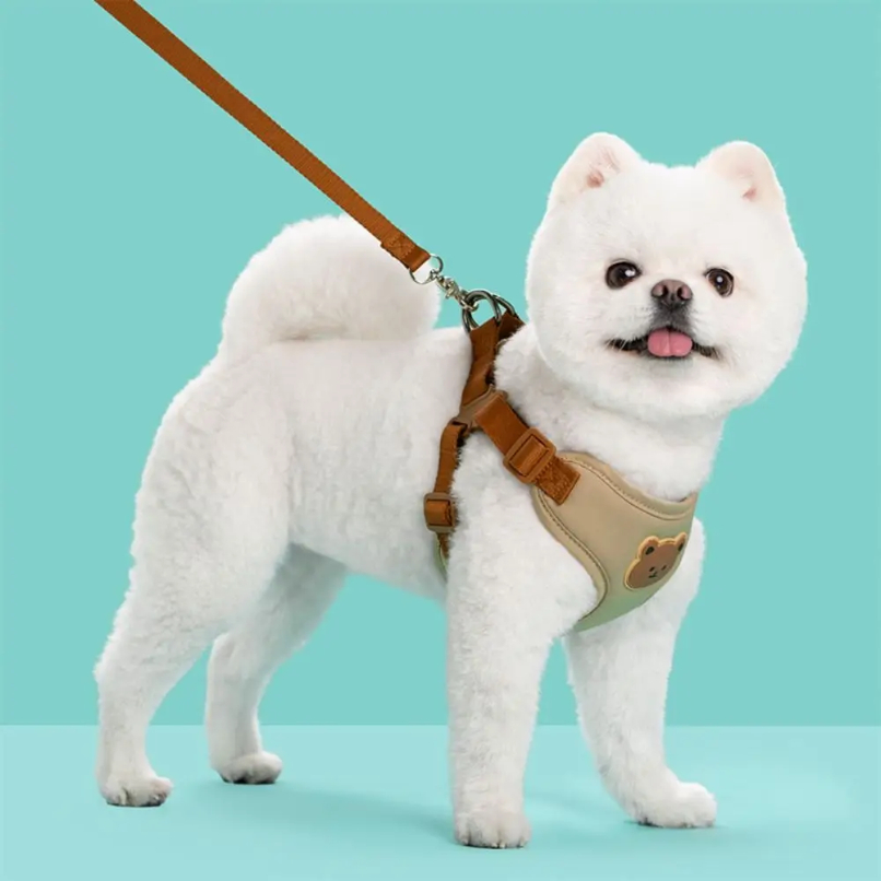 Creative Cute Pet Harness Leas – No Pull Dog Harness recenzja i cena