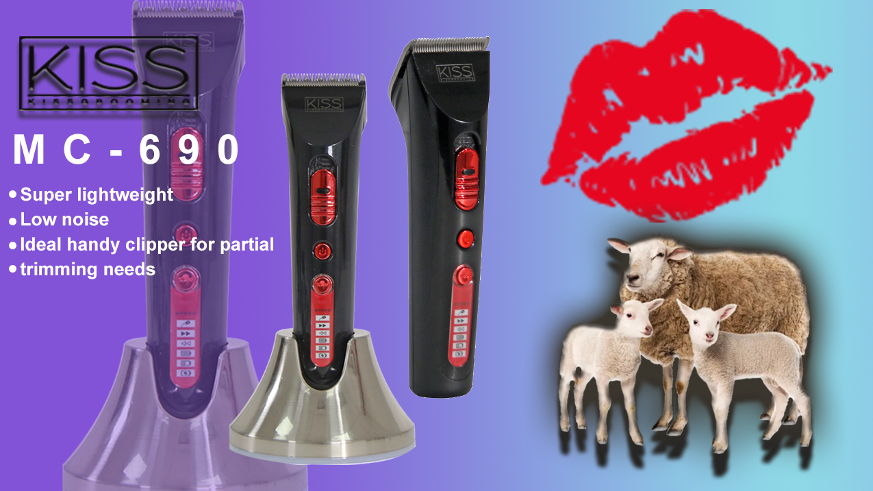 Efficient, Durable and Easy to – Dog Grooming Clippers recenzja i cena