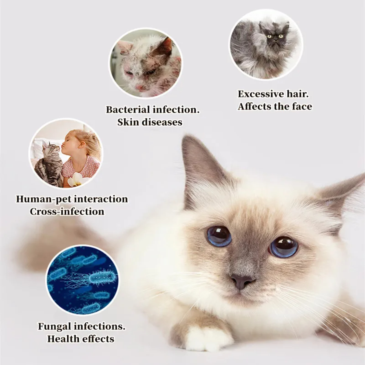 Cat Comb Dog Hair Remover Brus – Pet Supplies Grooming Hours recenzja i cena