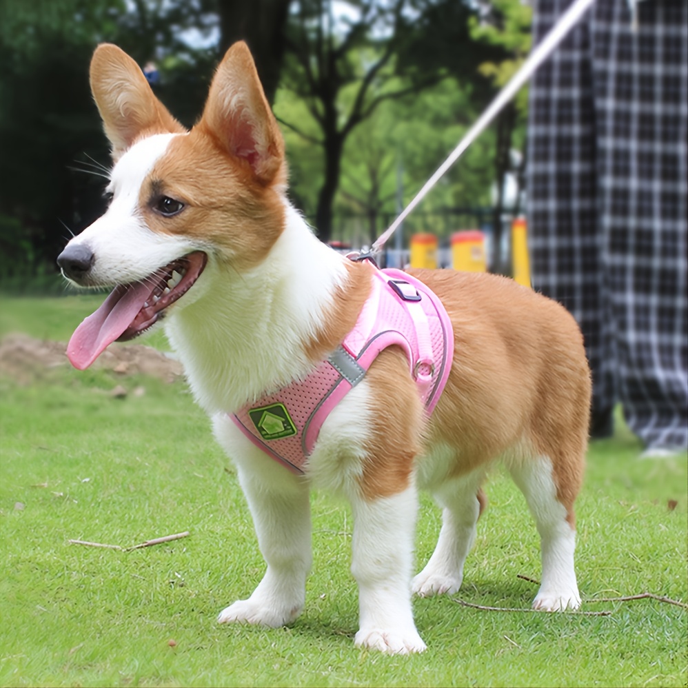 Reflective Pet Harness And Lea – No Pull Dog Harness recenzja i cena