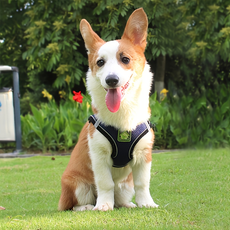 Reflective Pet Harness And Lea – No Pull Dog Harness recenzja i cena