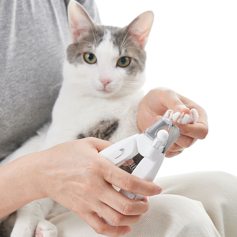 PETKIT Hair Cutting Machine Do – Pet Supplies Grooming Hours recenzja i cena