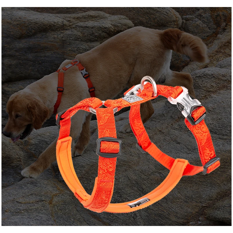 TRUELOVE Pet Hairy Usag Premiu – No Pull Dog Harness recenzja i cena