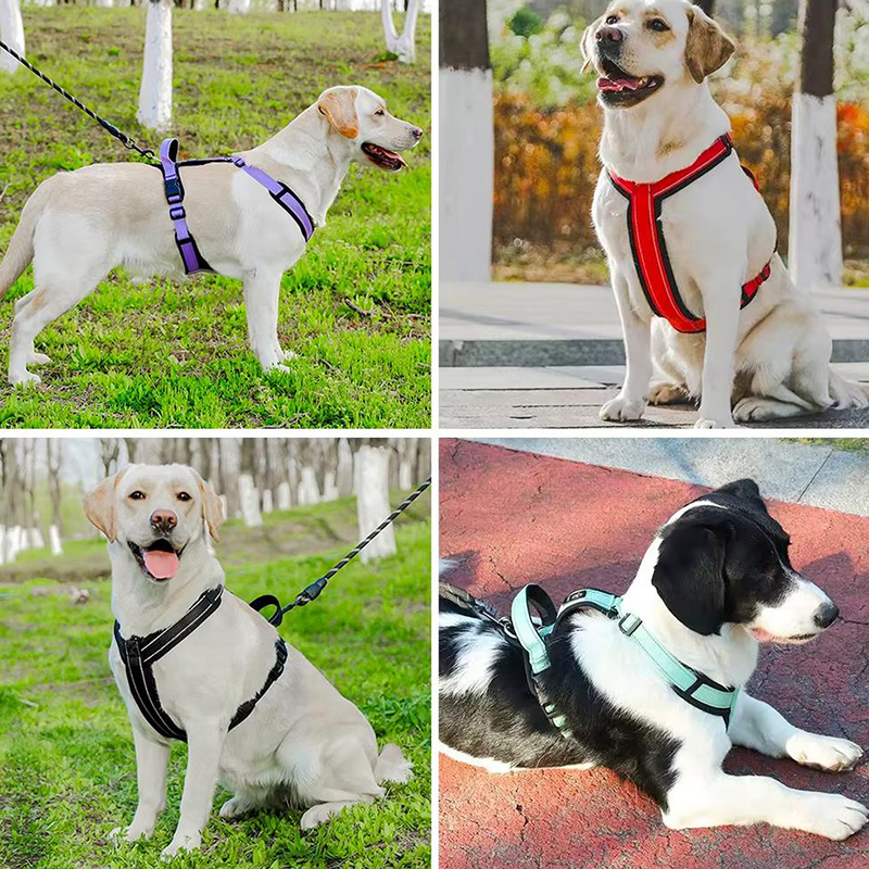 New Pet Dog Harness No-pull Do – No Pull Dog Harness recenzja i cena