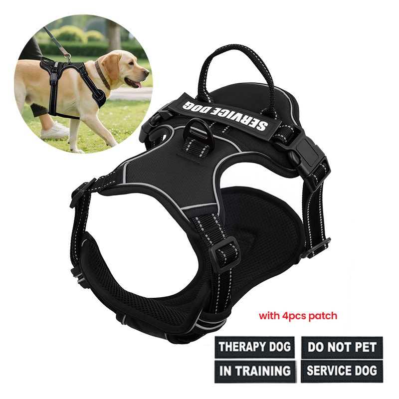 Nylon Adjustable Dog Harness N – No Pull Dog Harness recenzja i cena