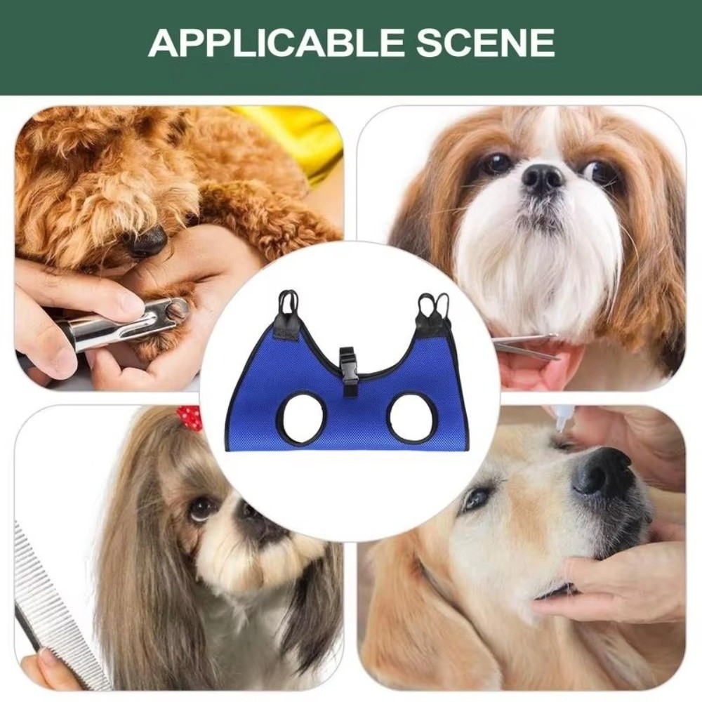 Large Pet Grooming Hammock Ant – Dog Grooming Clippers recenzja i cena