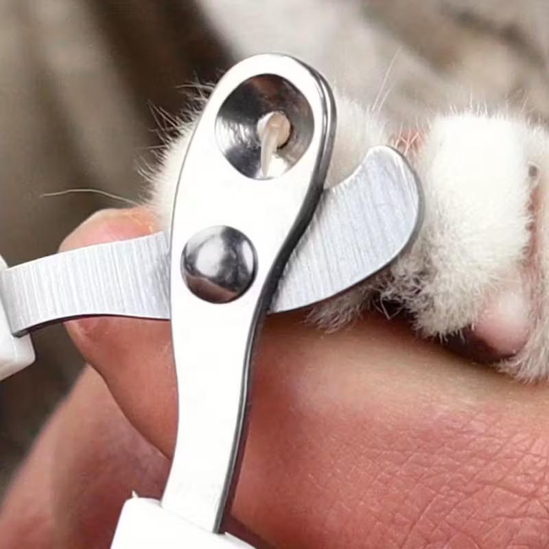 1pc Pet Nail Grooming Kit - St – Dog Grooming Clippers recenzja i cena