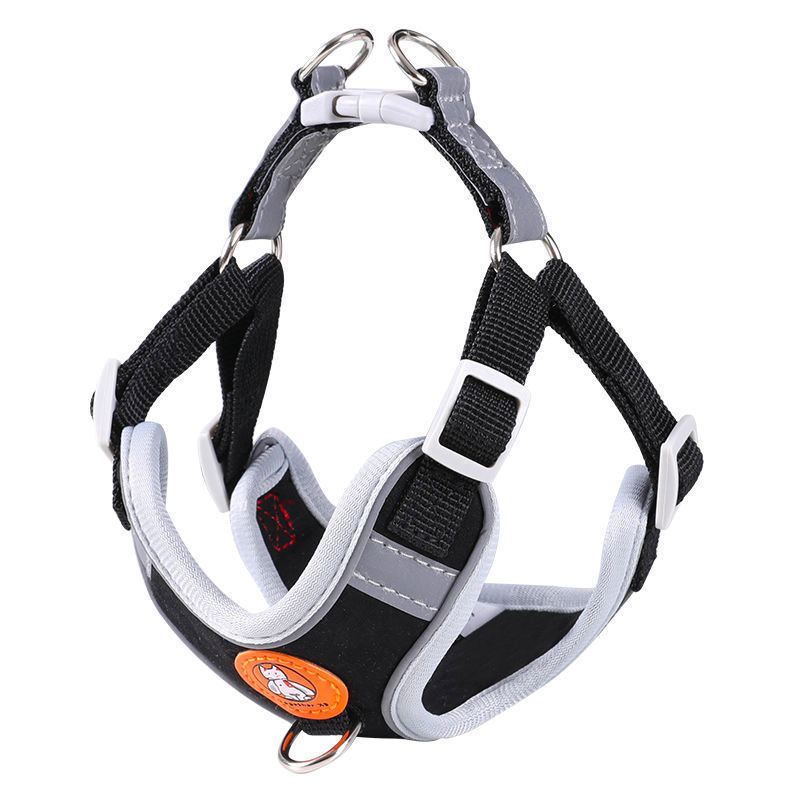 Adjustable dog harness no pull – No Pull Dog Harness recenzja i cena
