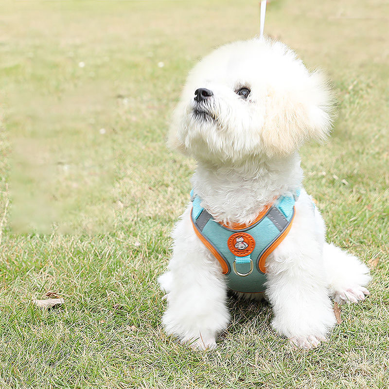 Adjustable dog harness no pull – No Pull Dog Harness recenzja i cena
