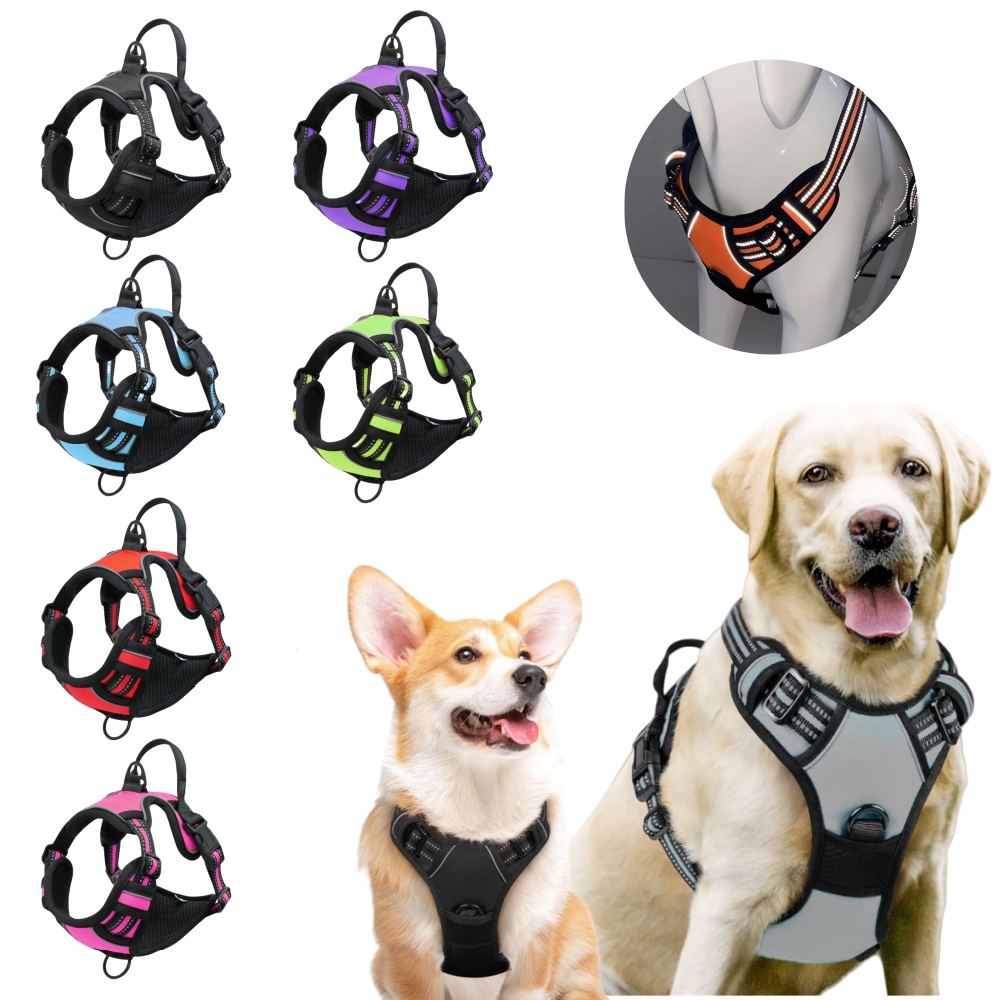 No Pull Dog Harness Large Dog  – No Pull Dog Harness recenzja i cena