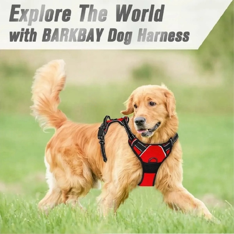 No Pull Dog Harness Large Dog  – No Pull Dog Harness recenzja i cena