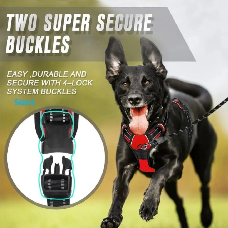 No Pull Dog Harness Large Dog  – No Pull Dog Harness recenzja i cena