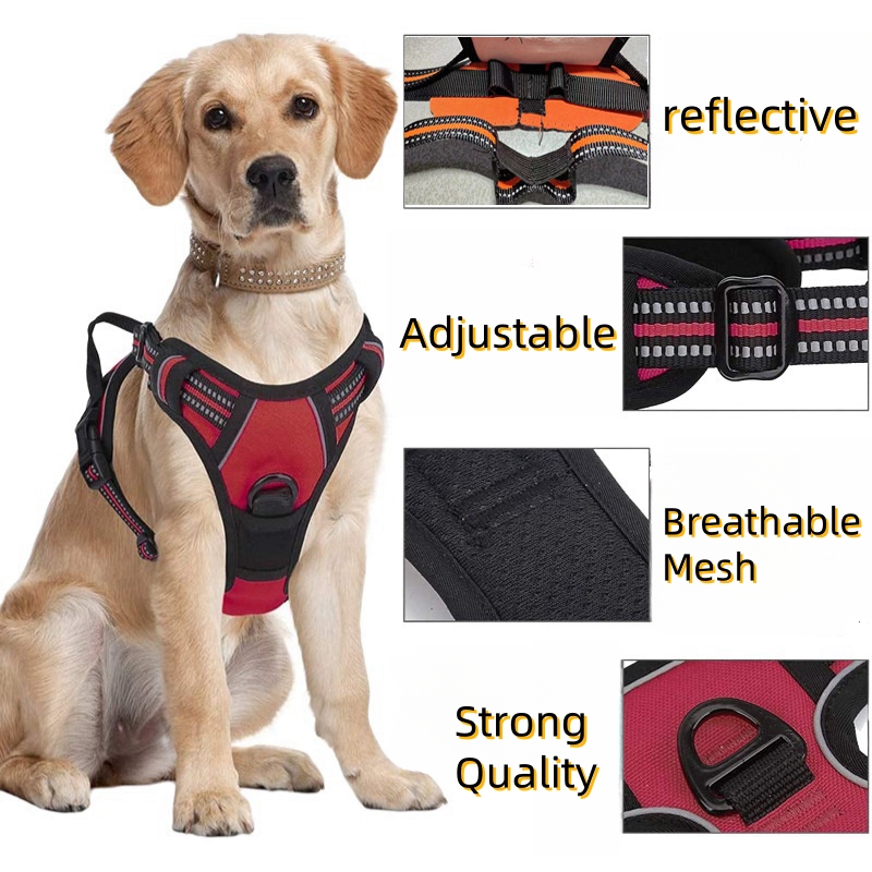 No Pull Dog Harness Large Dog  – No Pull Dog Harness recenzja i cena