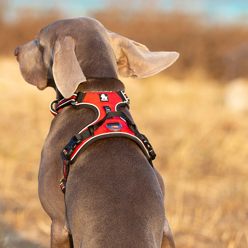 Truelove Pet Reflective Nylon  – No Pull Dog Harness recenzja i cena