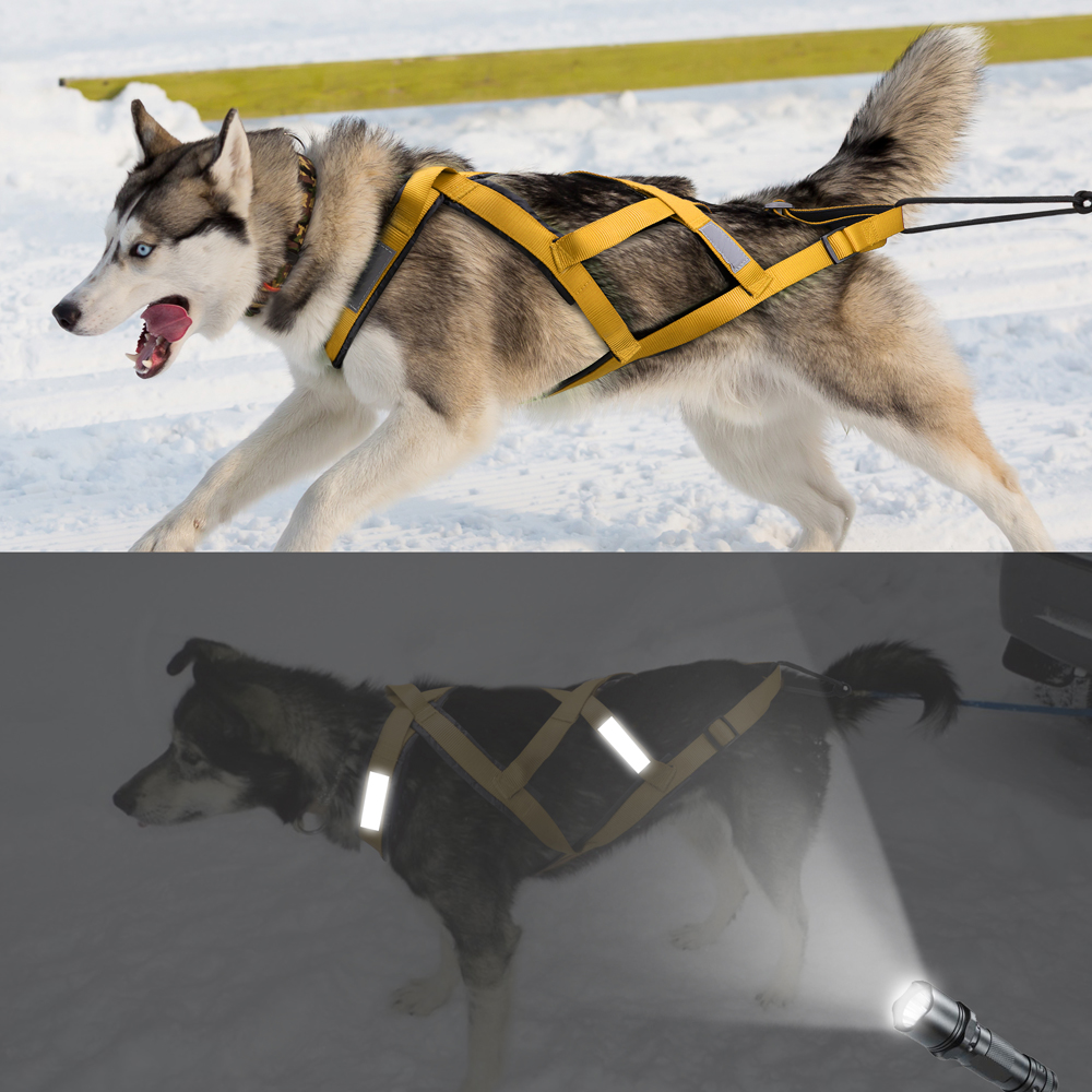 Waterproof Dog Sled Pulling Ha – No Pull Dog Harness recenzja i cena
