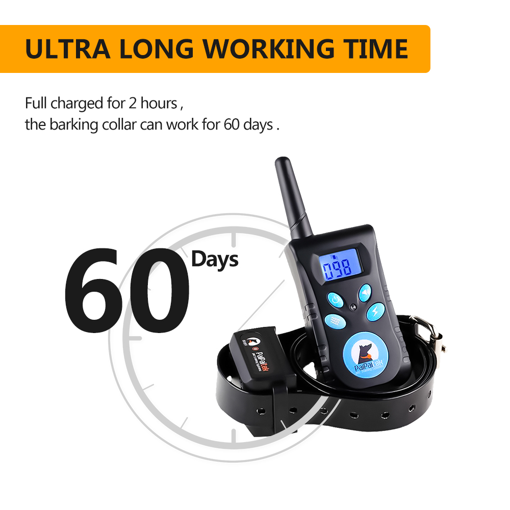 Pet Supplies and Equipment Dog – Pet Supplies Hours Today recenzja i cena