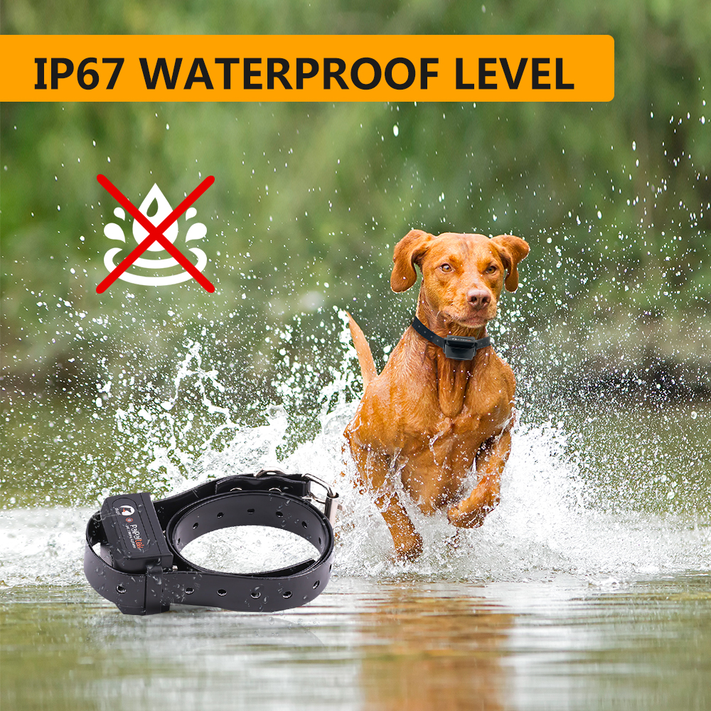 Pet Supplies and Equipment Dog – Pet Supplies Hours Today recenzja i cena