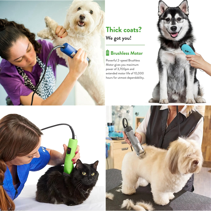 A5 blade fit for Andis & Oster – Dog Grooming Clippers recenzja i cena