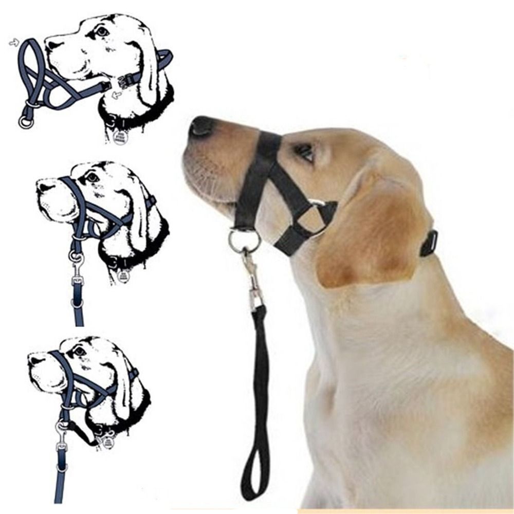 Adjustable Anti barking Non Pu – No Pull Dog Harness recenzja i cena