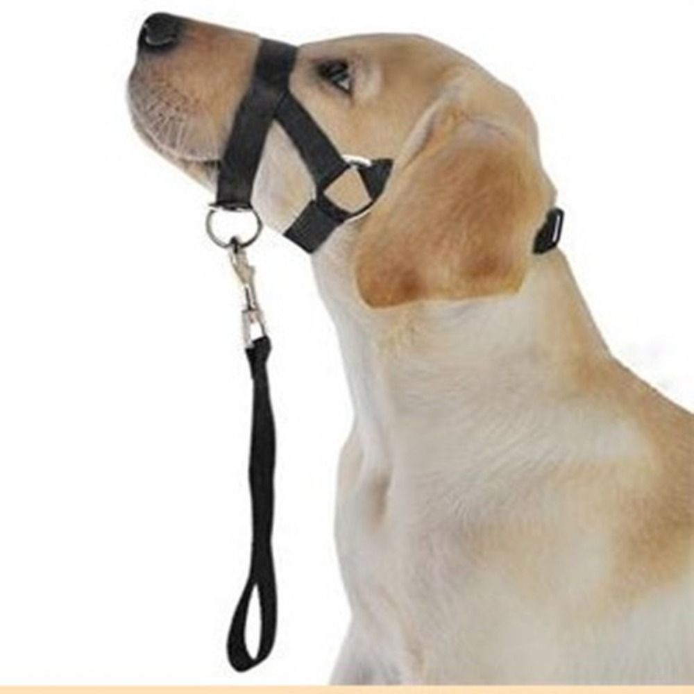 Adjustable Anti barking Non Pu – No Pull Dog Harness recenzja i cena