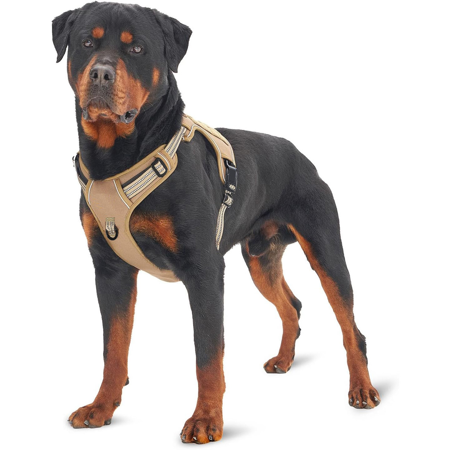 Military Tactical Dog Harness  – No Pull Dog Harness recenzja i cena