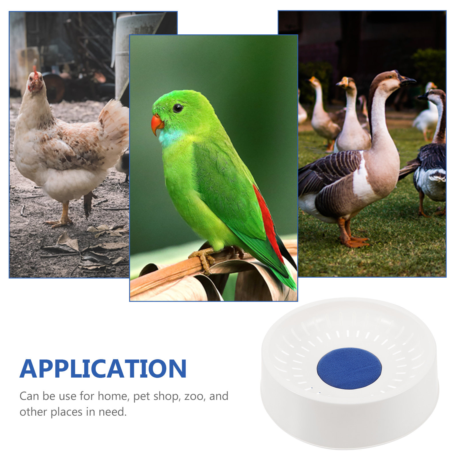 2Pcs Pigeon Hatching Nest Plas – Pet Supplies Zoo recenzja i cena