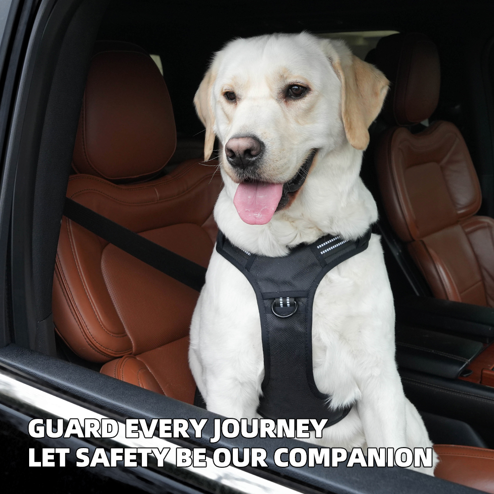 Car Safety Dog Harness for Med – No Pull Dog Harness recenzja i cena
