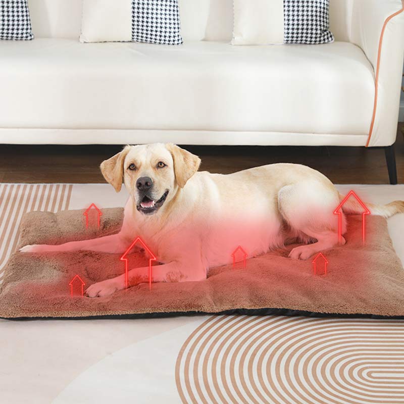 Self-Warming Heated Pet Pad Th – Pet Supplies Self Wash recenzja i cena
