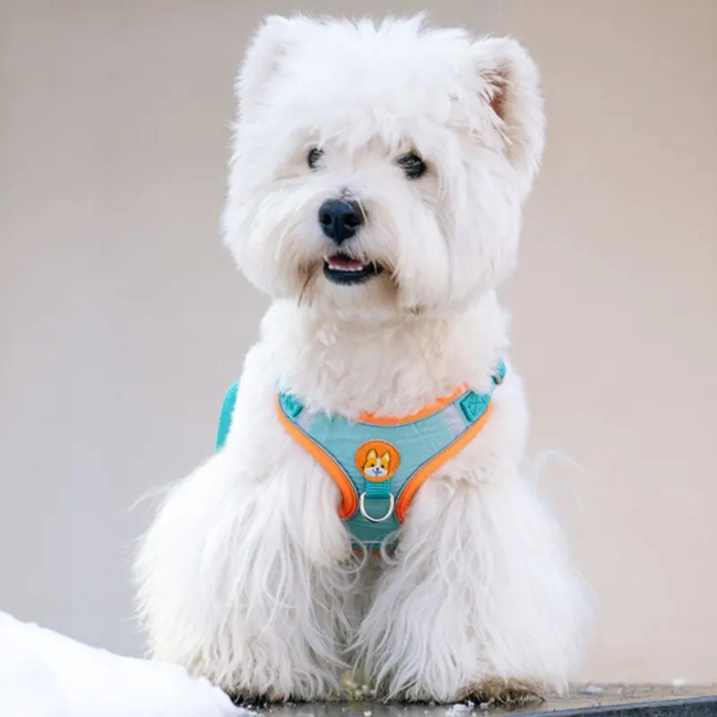 Adjustable No Pull Reflective  – No Pull Dog Harness recenzja i cena