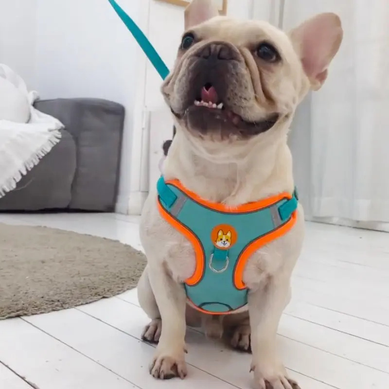 Adjustable No Pull Reflective  – No Pull Dog Harness recenzja i cena