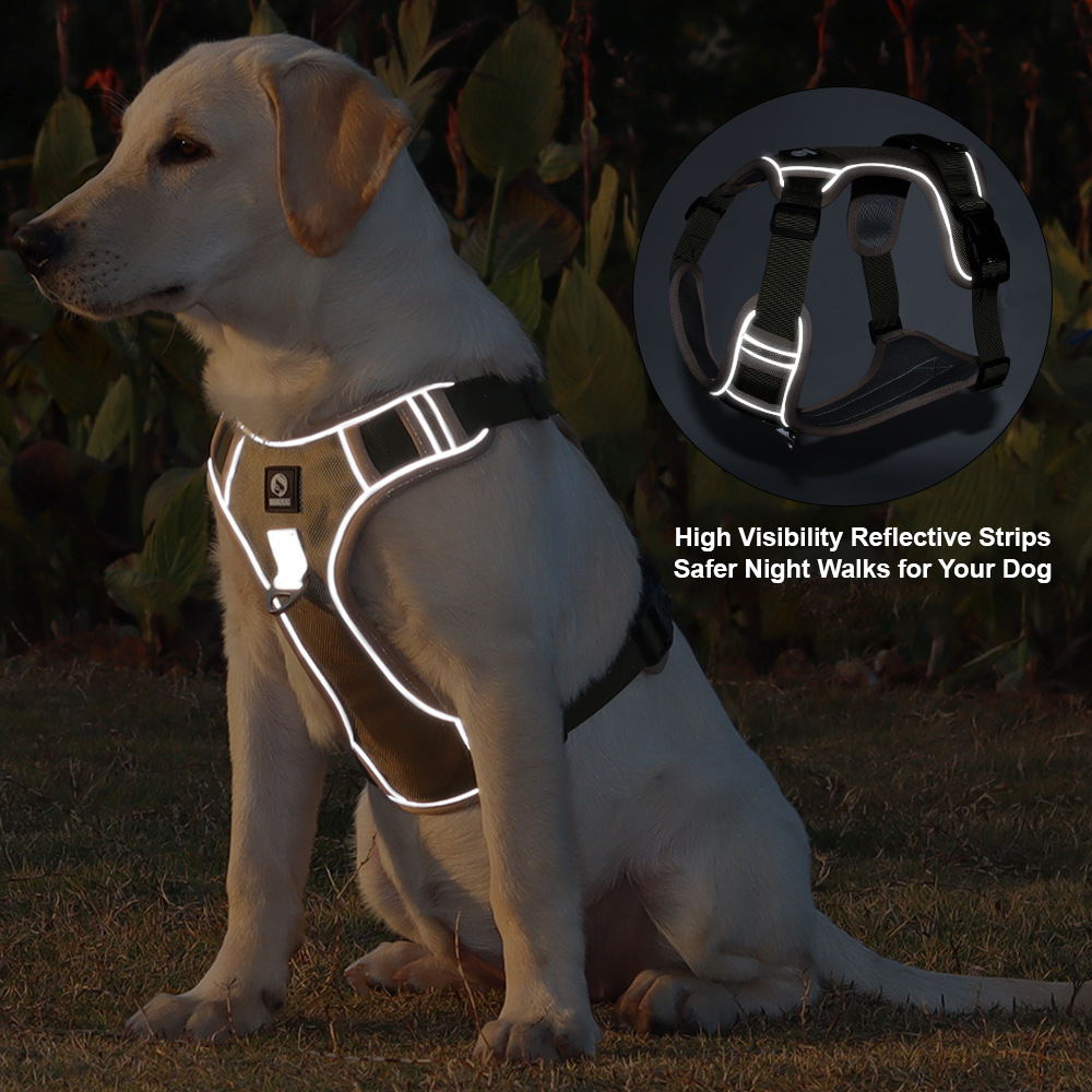 Tactical No-Pull Dog Harness R – No Pull Dog Harness recenzja i cena